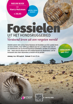 FOSSIELEN UIT HET HONDSRUGGEBIED - versteend leven uit een vergeten wereld | door Harry Huisman